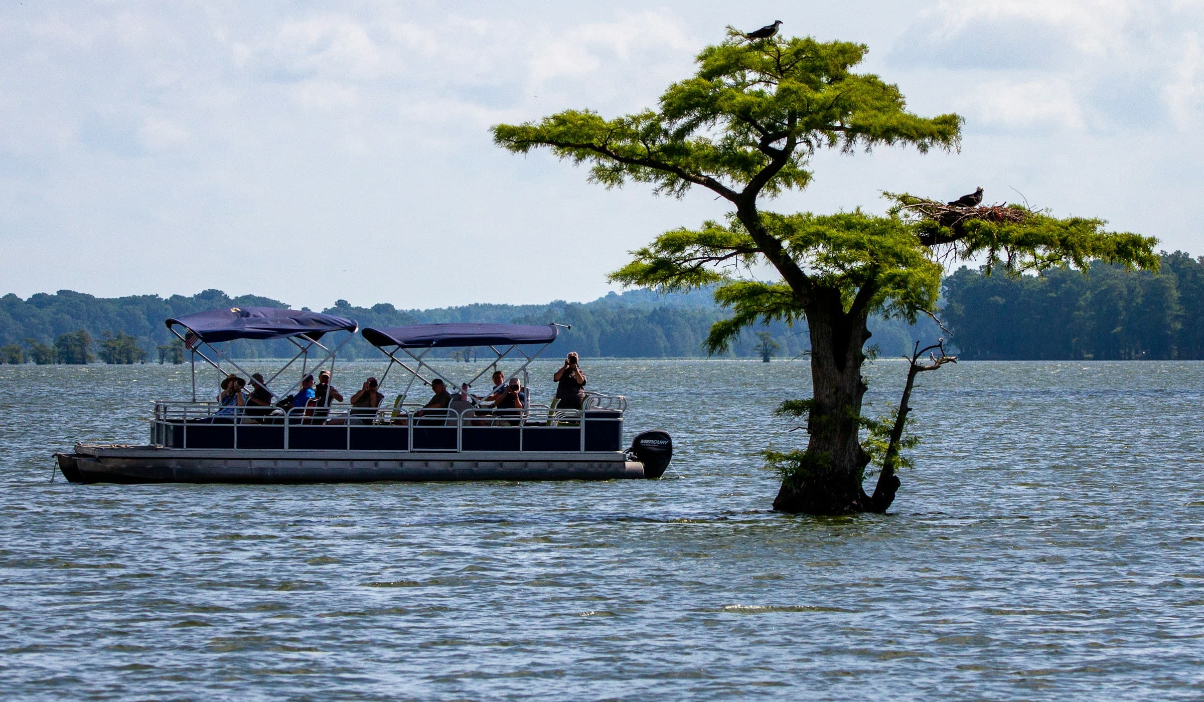 Classic Pontoon